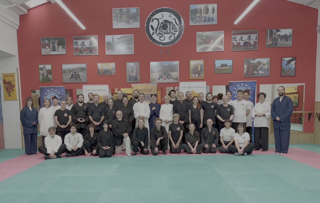 Curso de Bagua Wudang Taichi Kungfu